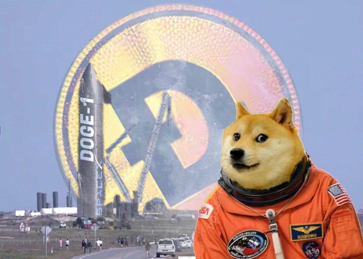 Doge11mission's tweet photo. @elonmusk Everyone Focused on the upcoming SpaceX Doge-1 launch and a possible Elon tweet. 

We are Live at PancakeSwap NOW! 

Chart: https://t.co/zC3bnMYwsn https://t.co/4y0ky4SE4r