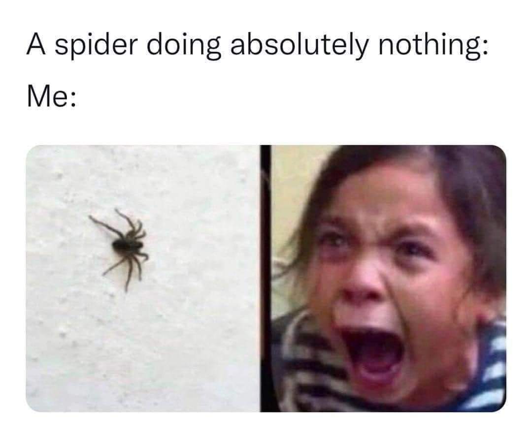 Funniest Memes on Twitter: Funniest Memes on Twitter: