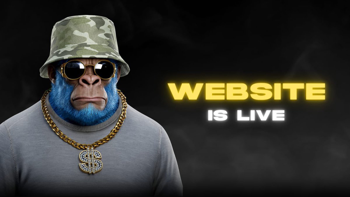SupremeKong's tweet photo. WEBSITE IS LIVE 🔥

RT if you are ready for the launch! https://t.co/U0iDyTx6KE
