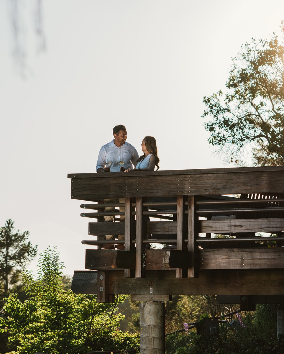 There's still time to book a romantic tasting for two this Valentine's Day. Join us for a Collector's Tasting of six wines and enjoy all that Matanzas Creek Winery has to offer. 🍷✨
⠀⠀⠀⠀⠀⠀⠀⠀⠀⠀⠀⠀
matanzascreek.com/visit/tasting-…
