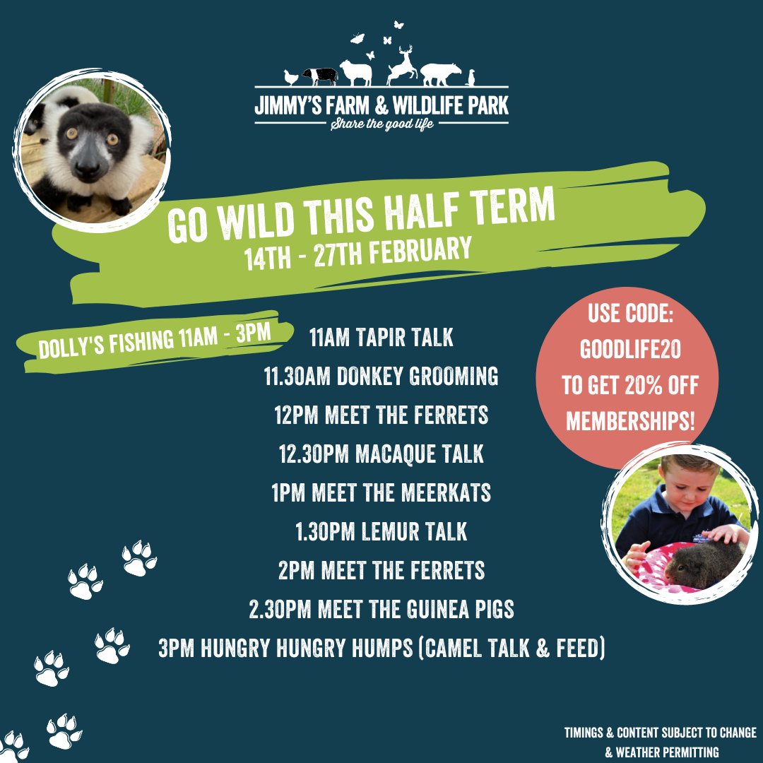 JimmysFarmHQ's tweet photo. Who's ready for some half term fun? 🐾 

With 20% off memberships now is the perfect time to become a member and save money throughout the year! Use code: GOODLIFE20

➡️ https://t.co/ZmTueIKbwZ https://t.co/F6iWvqEgkc