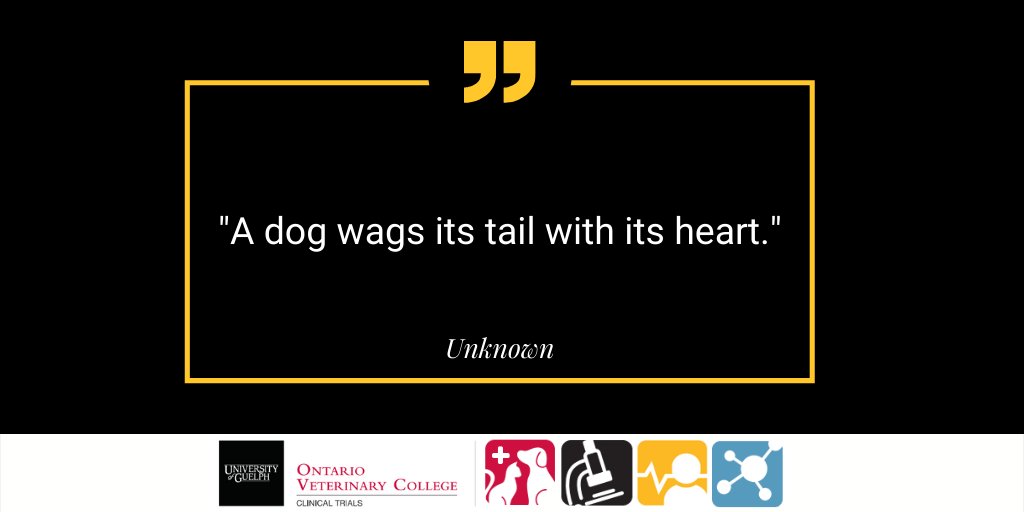 ovcclintrials's tweet photo. Today is a perfect day to give your dog some extra love! 🐕🦺❤️🐶❤️🐩
#PetQuotes #PetsAreFamily #VeterinaryClinicalTrials #OVCClinicalTrials #Dogtor #FeelGoodMoment #DogsOfTwitter https://t.co/Y4LJeDZLZZ