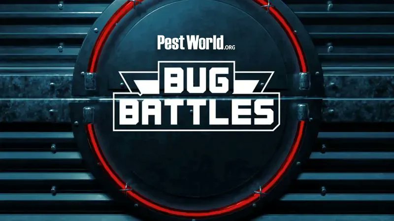 PestWorld's tweet photo. #BugBattles! Our newest series highlights pestโs abilities, habits and weaknesses in a thrilling competition. In this episode, the bald-faced #hornet and #yellowjacket meet face-to-face to determine which #pest is the ultimate Bug Battles champion! https://t.co/FwDGyHo3sw #bugs https://t.co/HEs8CSxj9k