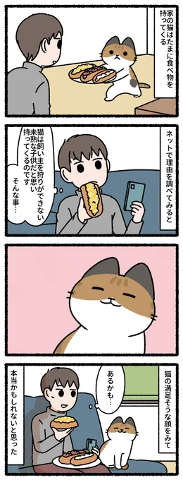 夜食を持ってくる猫 