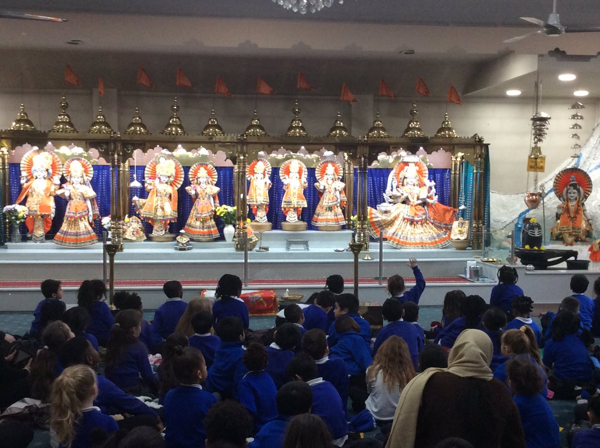 Foxfield Year 1 Pine tweet media