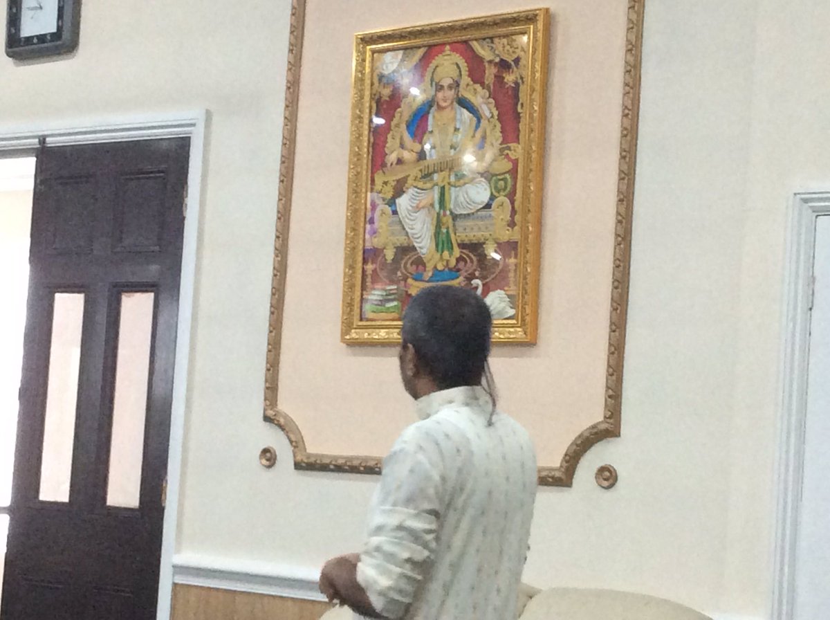 Foxfield Year 1 Pine tweet media