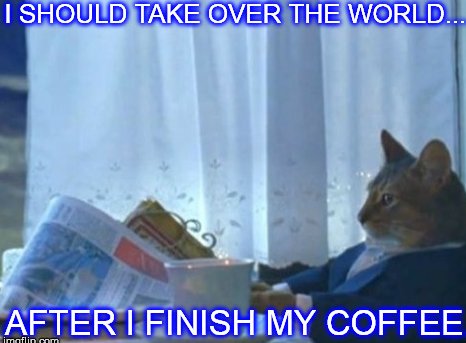 ellelljaytoo's tweet photo. #WeNeedToStartAPetitionTo replace government leaders with Cat Overlords.

What we are doing CLEARLY isn't working...

#catsoftwitter 😾🔥✨ https://t.co/uKvF5GHGeC