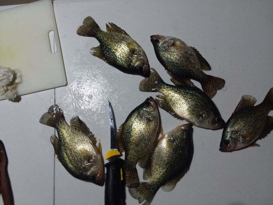 DSMH2O's tweet photo. #ThinkDownstreamThursday reminds you as you wrap up your #icefishing this winter, remove gear &amp; shelters off the ice before Feb. 20 per @iowadnr guidelines. This will ensure you #thinkdownstream &amp; prevent unnecessary debris from entering our #Iowa waterways as the ice thaws. https://t.co/chADT4kfD7