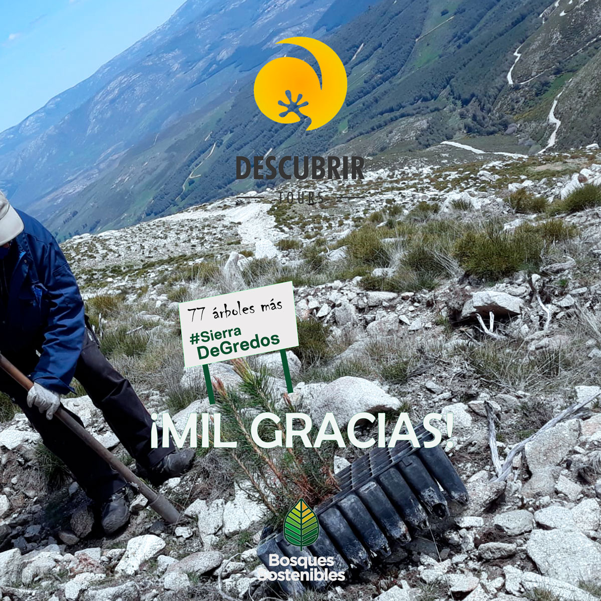 BSostenibles's tweet photo. Mil gracias @DescubrirTours 

En 2022 han renovado su compromiso aportando 77 árboles a nuestro proyecto de #reforestación en nuestra querida Sierra de Gredos.

¡Mil gracias! ✌️

#ViajesSostenibles #RSC #CrisisClimática https://t.co/pxd18dkHh4