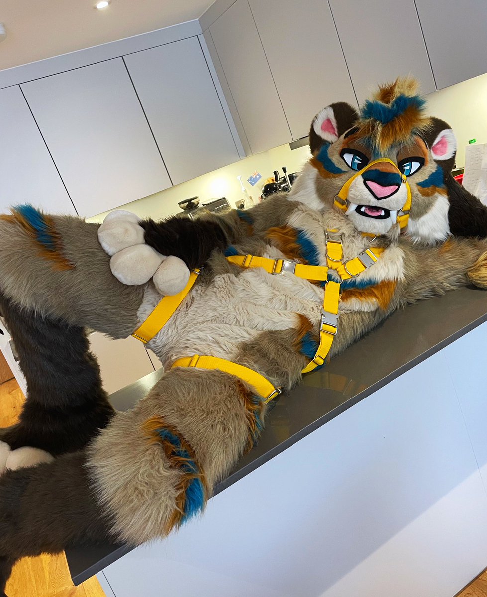What do you mean get down from there? How about you get up here and…😈
#ThirstyThursday