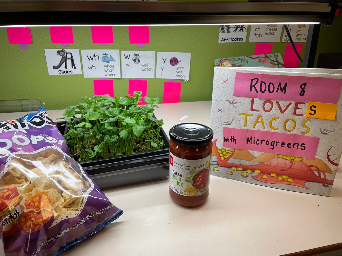 Room 8 will be harvesting tomorrow. We decided on tacos for our first microgreen taste test. <a href="/aitcmb/">Agriculture in the Classroom-Manitoba</a> <a href="/CherylMcQueen14/">Cheryl McQueen</a> <a href="/littlegrnthumbs/">Little Green Thumbs</a>