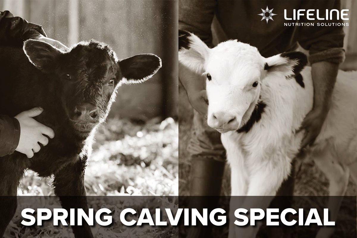 bwicompanies's tweet photo. Don't miss out on the Spring Calving Special featuring single serve cartons/tubs of @APCLifeline products now through March 31, 2022. Contact your BWI rep or shop online at https://t.co/5wyYg4xxAd.
#BWI #AnimalHealth #AllianceAnimalCare #TopNotchService #Lifeline #WatchThemThrive https://t.co/0ZZAxnqwYZ
