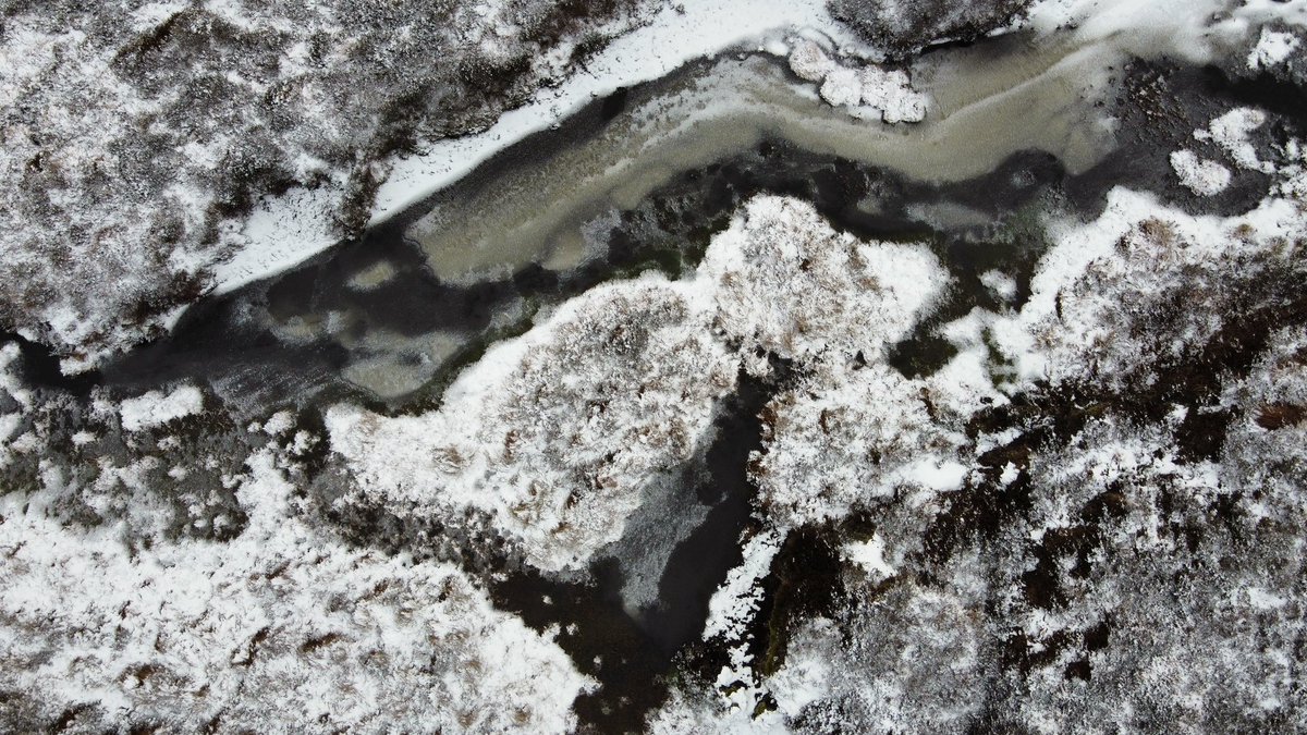 CaleyClimate's tweet image. February at CCP HQ:

•3 new #restoration applications signed off by @PeatlandACTION 🚦
•3 sites underway 🚧
•1 completed ✅ 
•2 starting next week 🎯

That’s a total of around 950hectares!

No time to waste when tackling a #ClimateCrisis #Peatlands