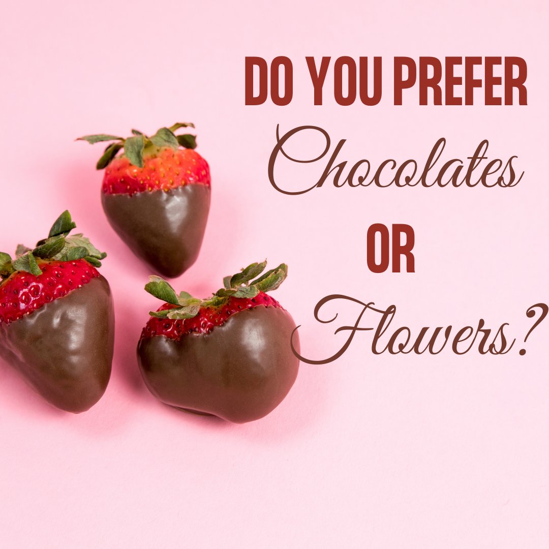 Which do you prefer!?