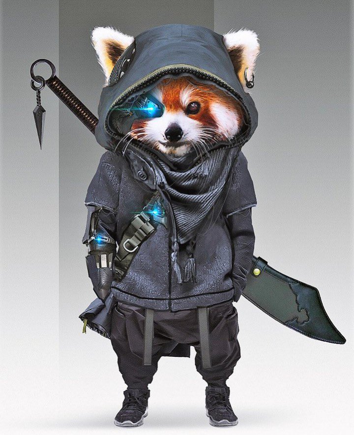 panda tweet media