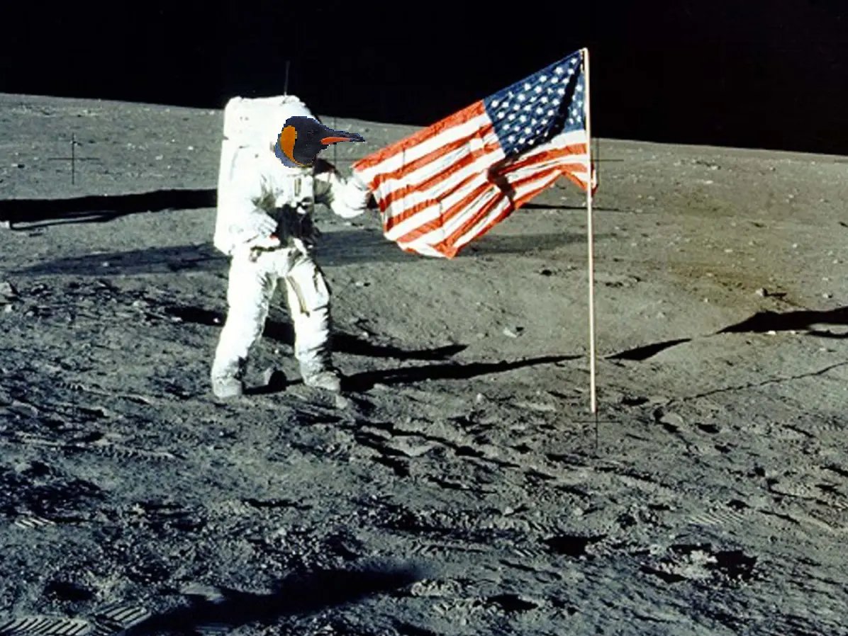 PMAPenguins's tweet photo. ok but did you know penguins actually went to the moon in 1964 already and got the flag ready for the next trip in 1969 https://t.co/pscslrPMsg