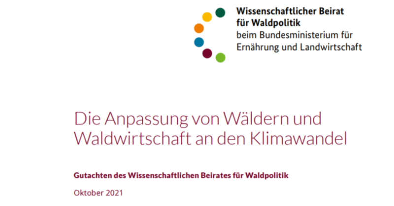 BaySF_Direkt's tweet photo. Der Wissenschaftliche Beirat für Waldpolitik hat vor kurzem die Kernthesen seines Gutachtens zum Wald der Zukunft vorgestellt. 
Die wesentlichen Handlungsempfehlungen findet ihr hier: https://t.co/QUF8vfK6P0

Mehr zum Klimawald der BaySF:👉 https://t.co/UPIhzVYfjW👈
#Klimawald