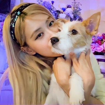 posier991's tweet photo. HAPPY HALF FIFTY ROSÉ
#OurRockstarROSÉDay
#봄의시작_채영아_생일축하해 https://t.co/fKVatViM9o