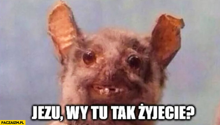 FLPdCi2XMAYDMBq.jpg