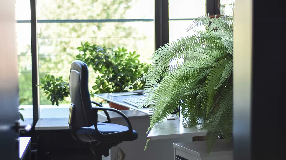 While headlines about what perks or elements of office design make for a great #EmployeeExperience seem to be dominated by fads, a recent survey reveals the reality is that employees crave something far more fundamental and essential to human needs. 🔆
buff.ly/3gyiSUB