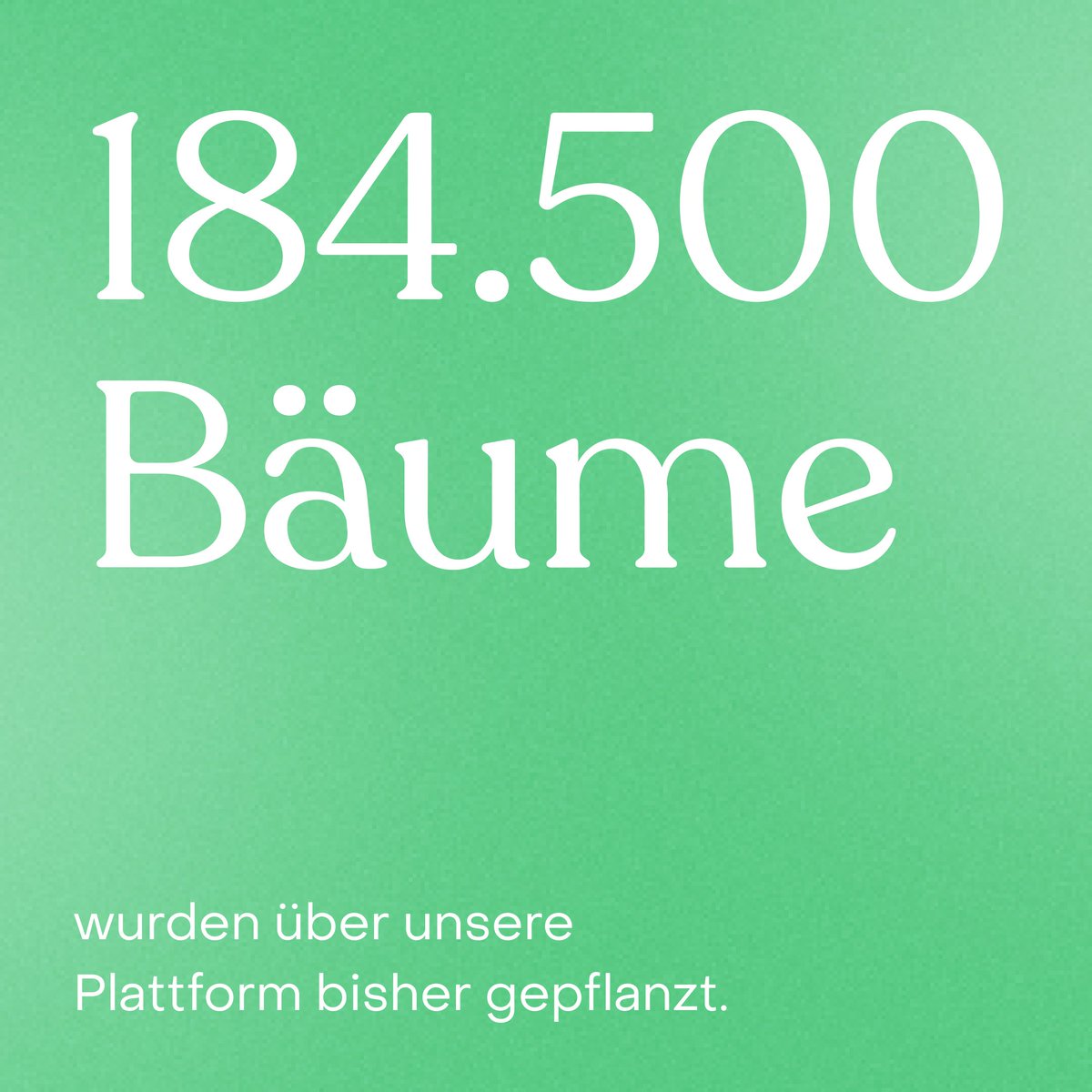 Wir haben bereits über 184.500 Bäume gepflanzt. ⁠Und mit jeder Aktion werden es mehr! Darauf kann man schon auch ein bisschen stolz sein oder? 😉⁠#wald #grüneluge #umweltschutz #nachhaltigkeit  #naturschutz #klimaschutz #climatechange #climateaction #fridaysforfuture #klima