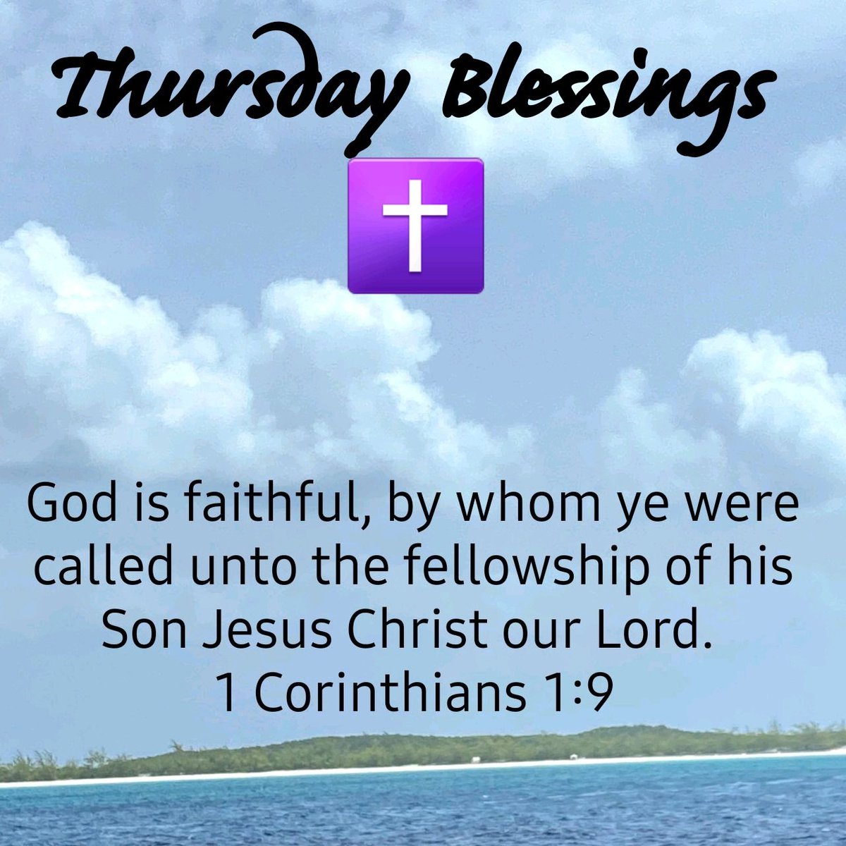 markcollier733's tweet image. 