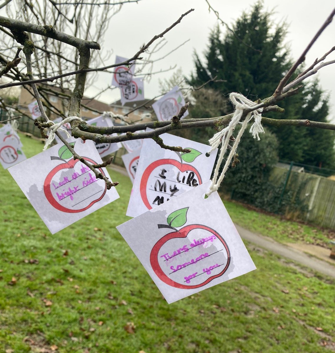 aldryngton's tweet photo. During this week for children’s mental health week the children have been thinking about something positive they have done or feel and  ‘planting’ their positivity on the Positive tree in the school grounds.
https://t.co/G0bQiUAdG8 https://t.co/ezAx910wjv