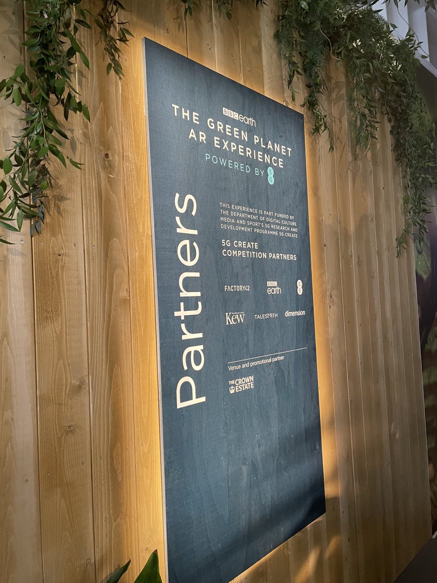 Grace Cassy tweet media