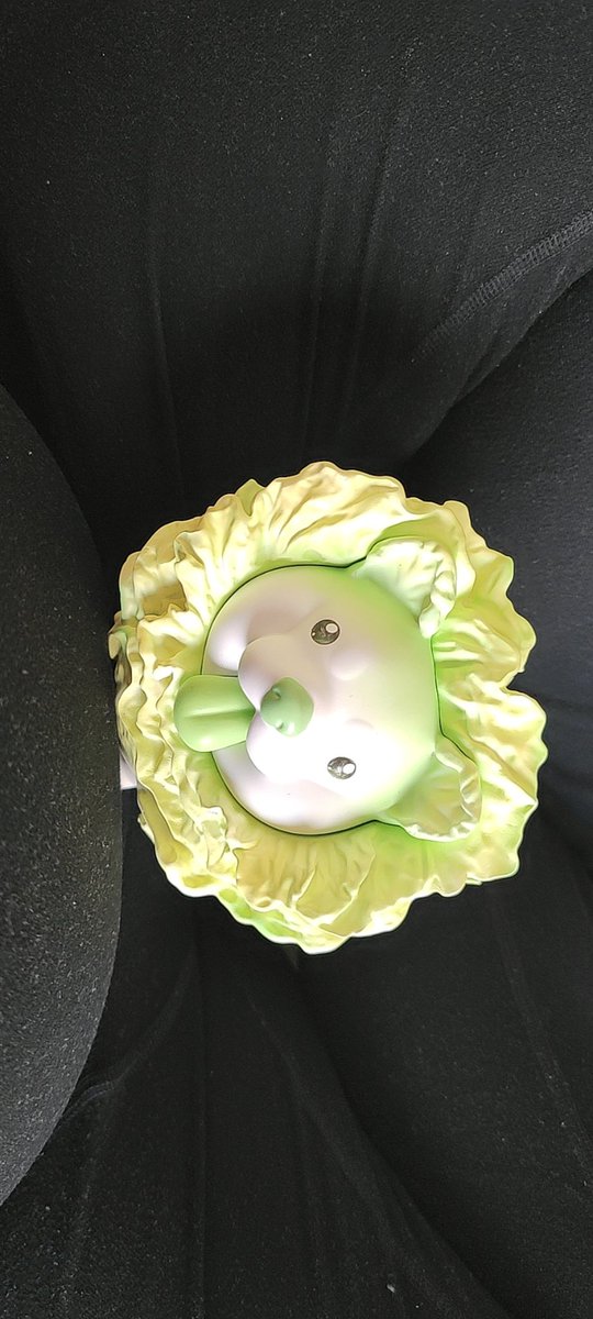 123bearlover's tweet photo. 我心爱的菜狗狗，它真的非常可爱！ https://t.co/apSST1FWVz