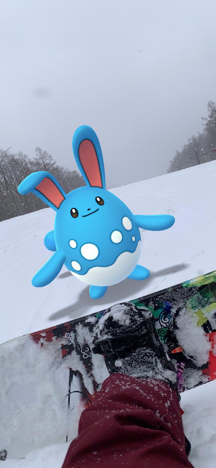 忍者ポケモンgo Ninjapokego1928 Twitter