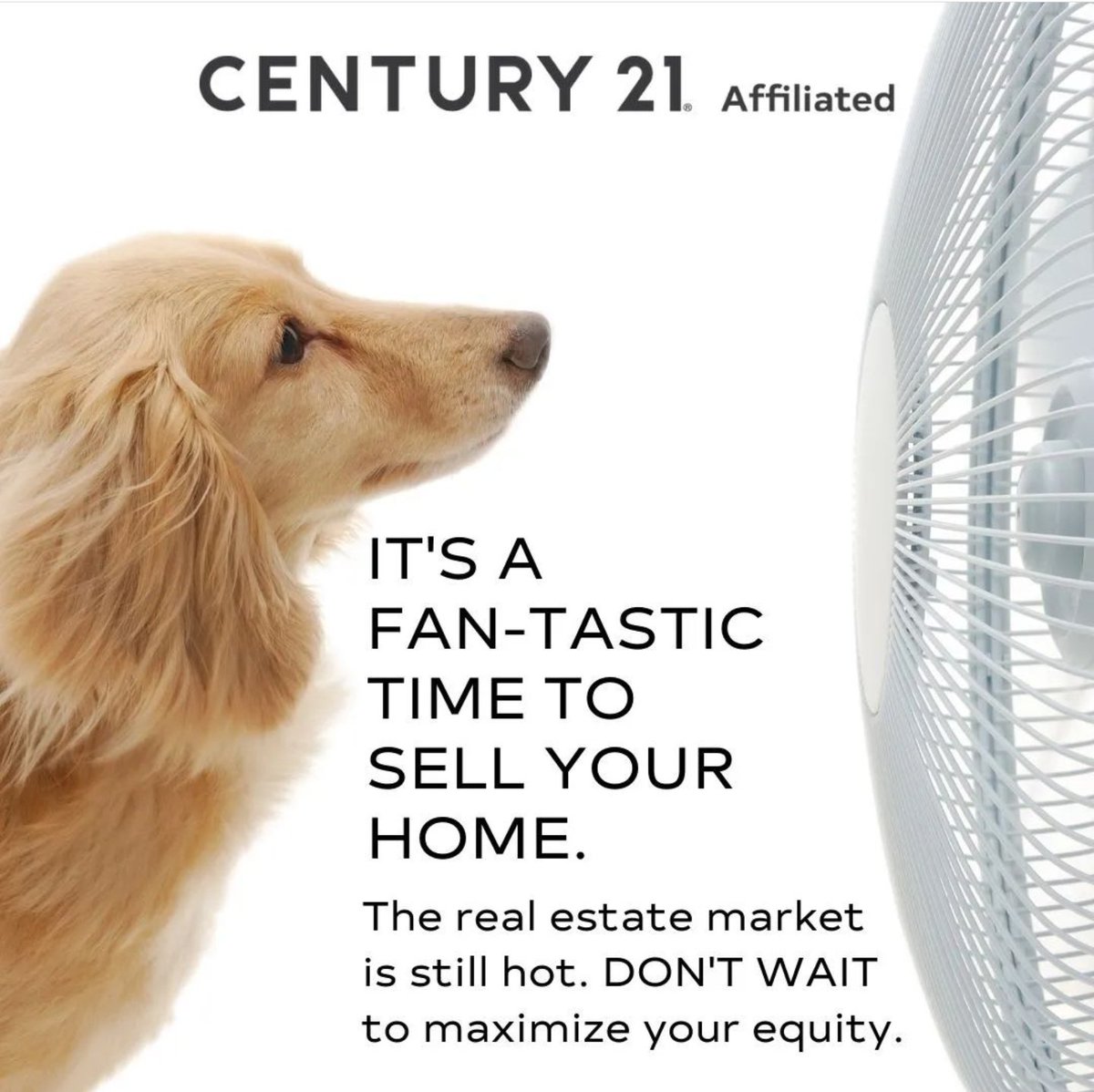 bryanbolk's tweet photo. Make the right choice by listing with an experienced and responsive agent who knows how to get you top dollar for your home.  

PROFESSIONAL | EXPERIENCED | TRUSTED
Dual Licensed Realtor® 
Wisconsin &amp; Illinois

CENTURY 21 AFFILIATED
C: 262-719-1810 (Direct)
bryanbolk@gmail.com https://t.co/jJgoZJSuAR