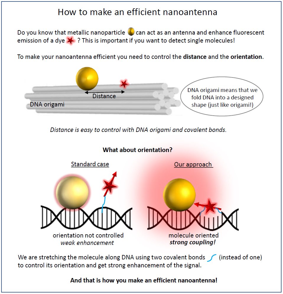 Up next we have ESR08: Aleksandra!

<a href="/aleolek28/">Aleksandra Adamczyk</a> works with <a href="/GuilleAcuna_Lab/">Guillermo Acuna Lab</a> <a href="/unifr/">Uni Fribourg</a> 

Her work focuses on orienting single fluorescent dyes using #DNAorigami technique for #plasmonics 

Check her out! 🔽
