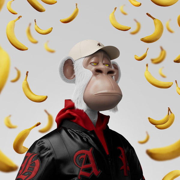 so #hapefollowhape work??