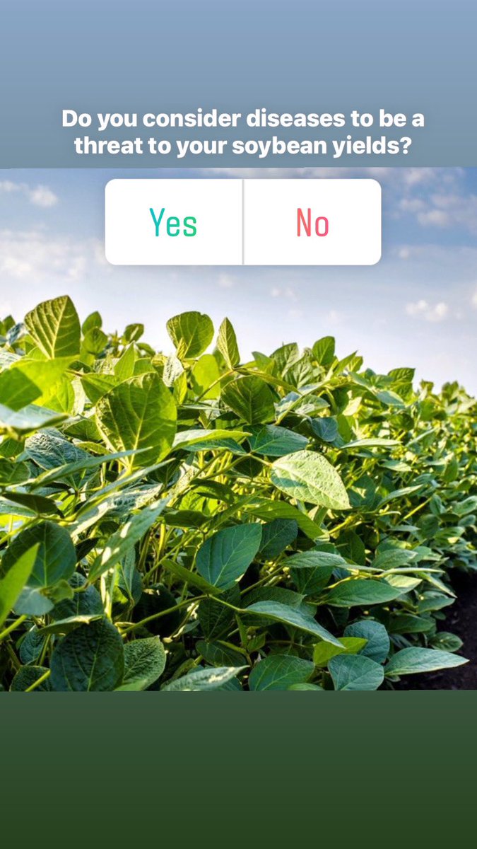 ILPestSurvey's tweet image. Up next at #betterbeans…Let’s talk soybean stem insects and diseases. Little do these attendees know, participation required. Want to play along? Let ‘s hear those answers!