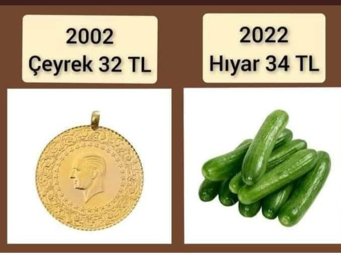 Bizi bitirdin be tayfuun!
#faturamiOdemiyorum 
#dolar BioNTech