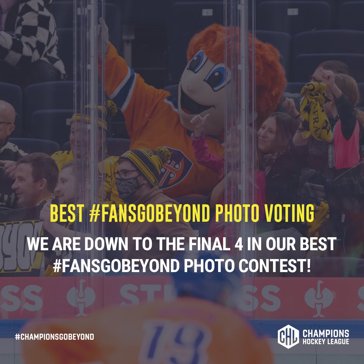 championshockey's tweet photo. 📸 We are down to the Final 4 in our Best #FansGoBeyond photo contest!🔥
Vote for your favourite photo NOW! 👉https://t.co/tfwgQujGw3
#ChampionsGoBeyond https://t.co/sgZp34rmTu