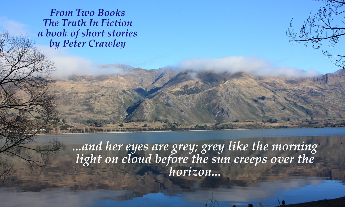 #bookbloggers #bookblog #BookTube #booklover #bibliophile #bookdragon #bookworm #BookReview #shortstories #centralotago