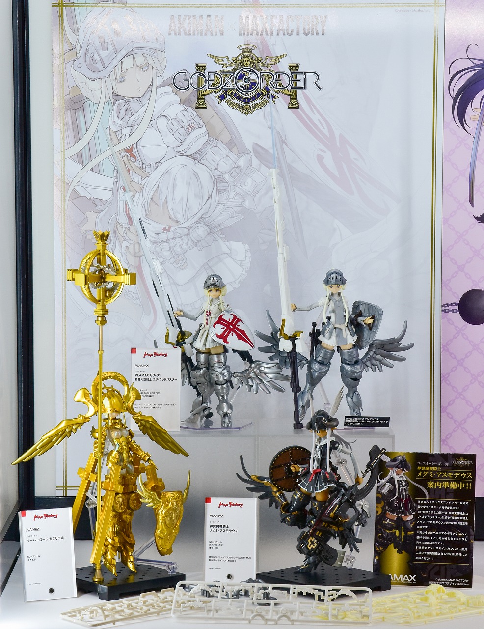 コレクションシリーズ特大125キプリスモルフォ♂-1 煎じ 