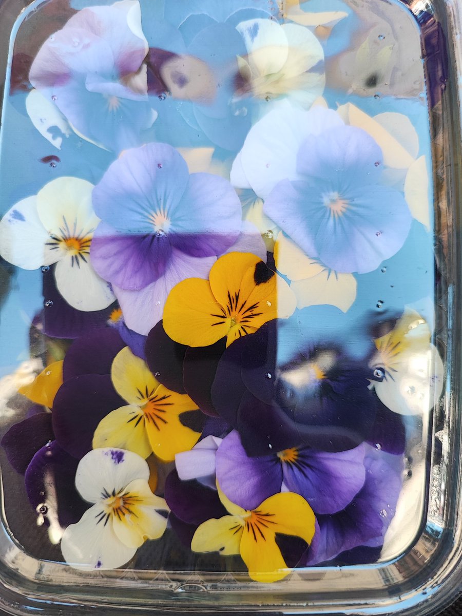 Llevando flores comestibles