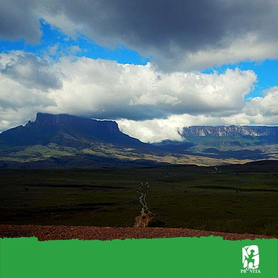 ¿Sabías que en Venezuela existen más de 100 tepuyes? Sí, las condiciones ecológicas de los tepuyes son únicas en el mundo y están asociadas a una extrema fragilidad, por eso se les declaró Monumentos Naturales
#Amazonia #AmazoniaVenezolana #Panamazonia #tepuyes #escudoguayanes