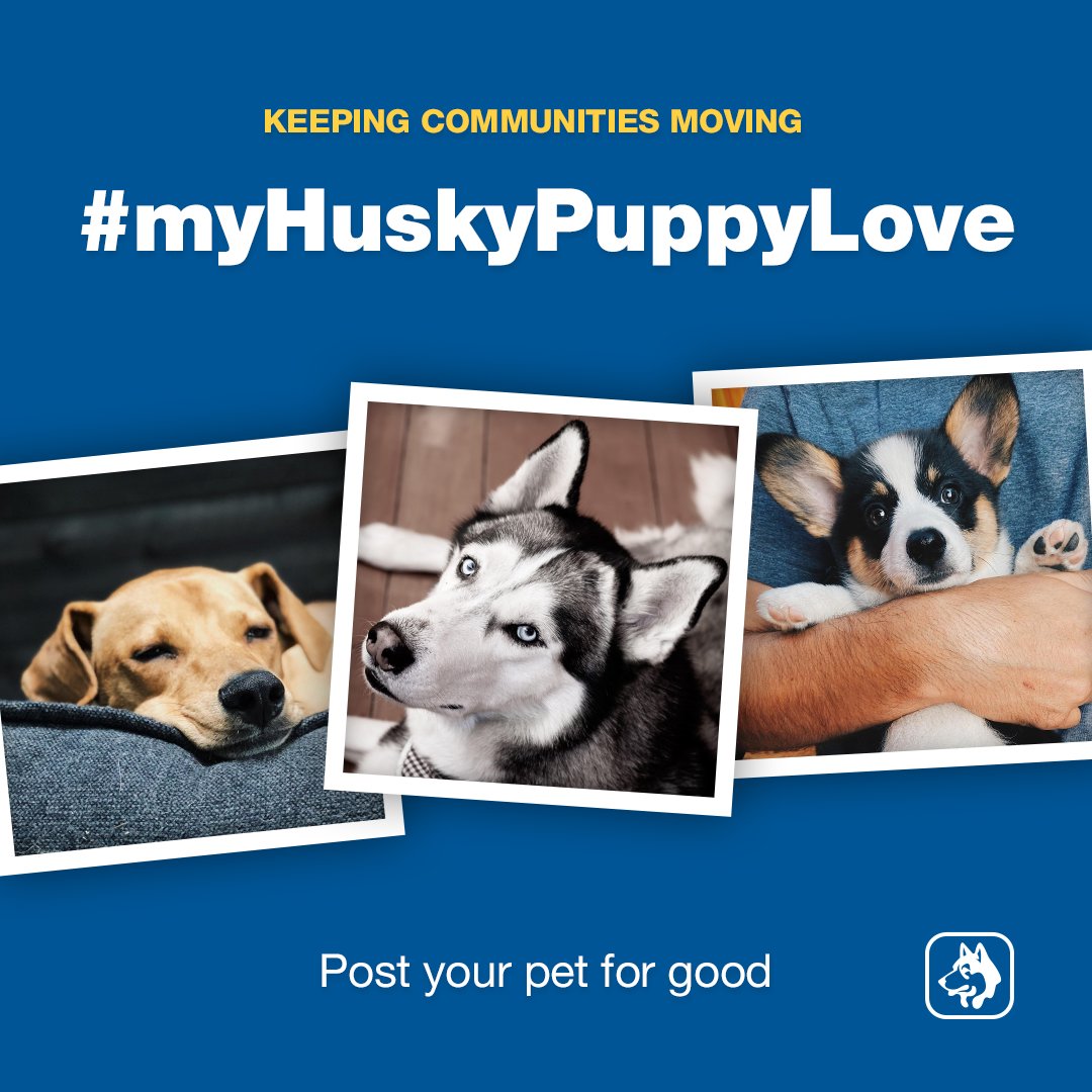 myhusky's tweet photo. This Valentine’s Day, we’re showing love for our most loyal of companions. Post a pic of your pooch with #myHuskyPuppyLove and @myhusky between Feb. 10 - 15 and Husky will donate $5 for every photo to support the welfare of animals through @HumaneCanada #KeepingCommunitiesMoving https://t.co/ICfvIZwNpw