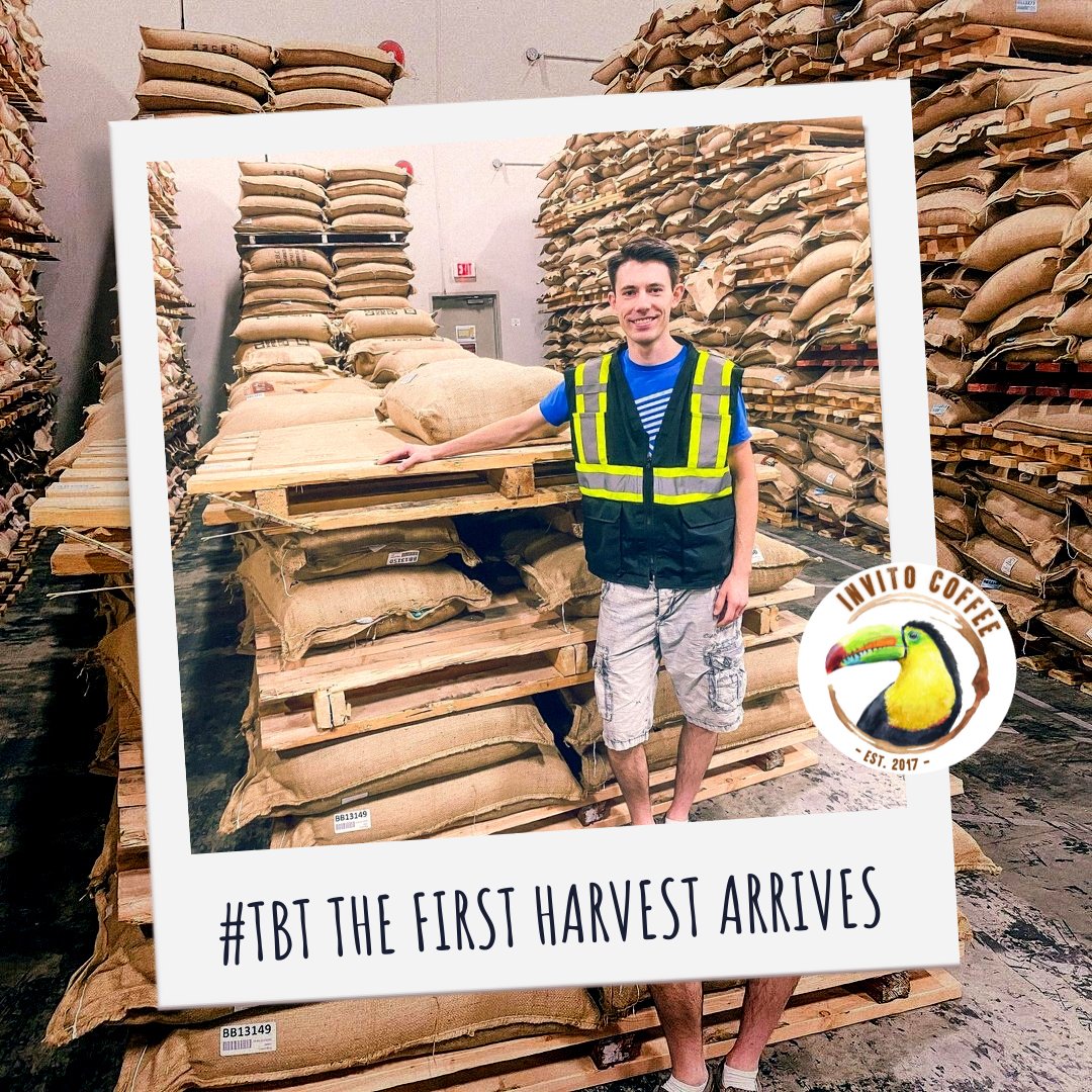 InvitoCoffee's tweet photo. ☕ INVITO - 1ST HARVEST ☕ #DYK that right from the beginning, INVITO was destined to be zero-waste, plastic-free &amp; fair-trade? That packaging was never to be anything but 100% biodegradable and compostable? https://t.co/C9i4eyjMKd #zerowastevancouver #singleorigin #coffeeroaster https://t.co/k60JHdA7mR