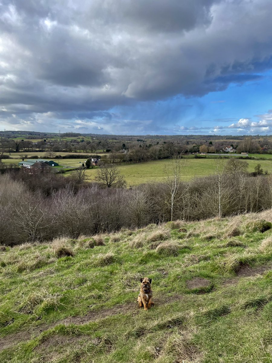 Elizabeth Clark tweet media