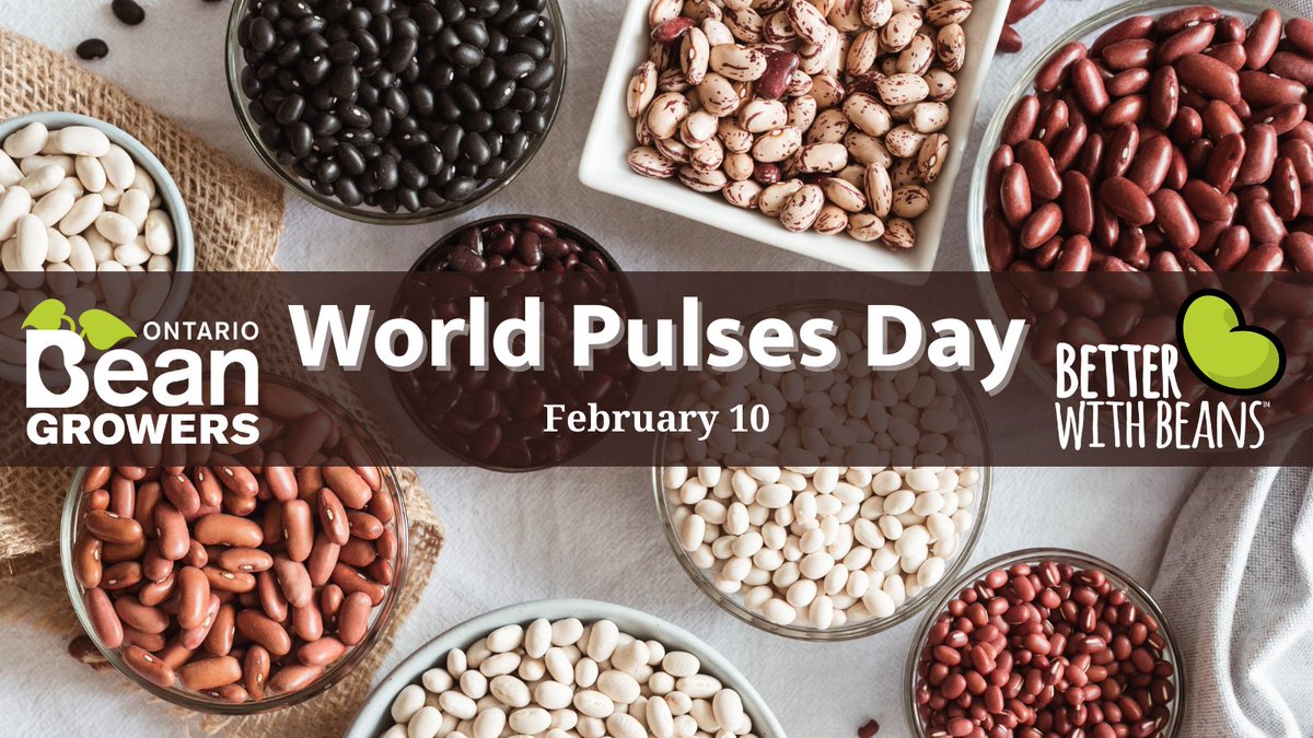 Ontario Beans tweet media