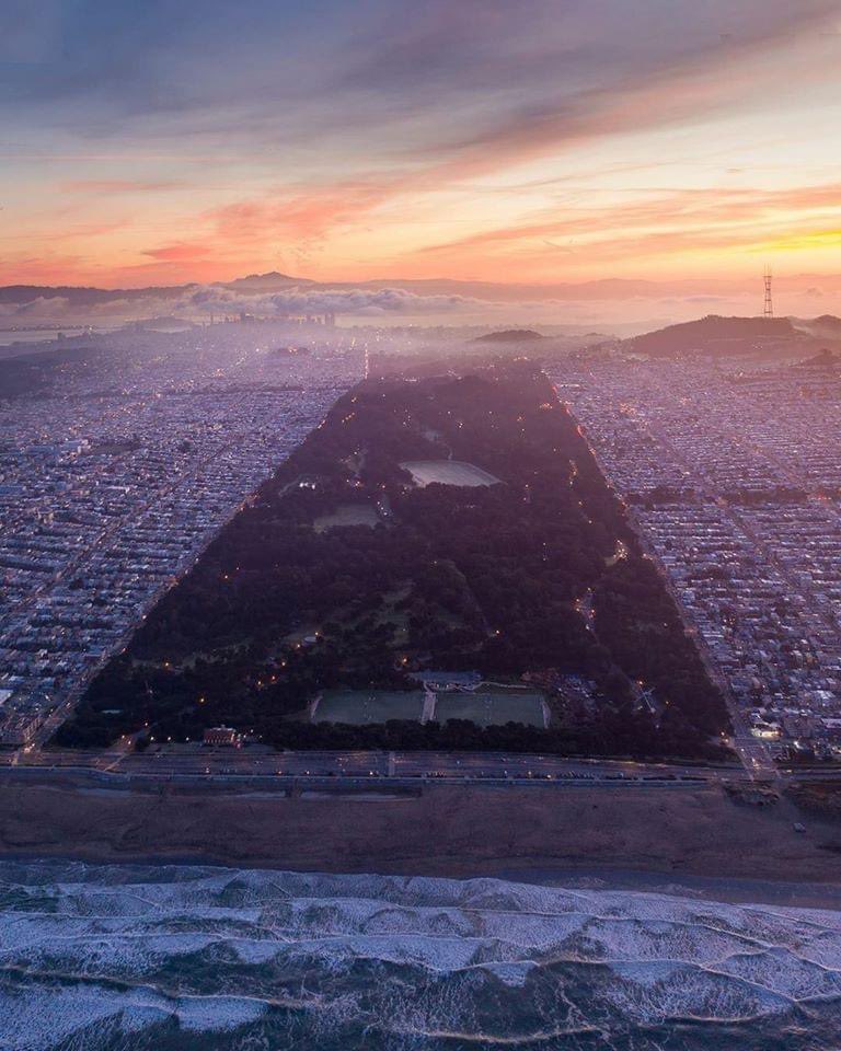 Brent Andrew tweet media