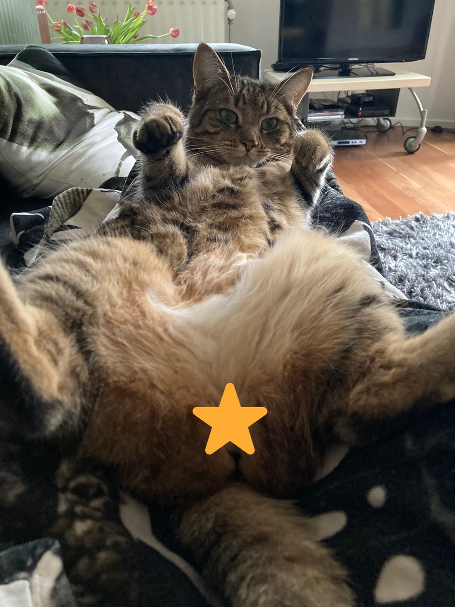 karmalijn's tweet photo. @rickygervais @PickliciousF #strikeapose Ginny 😂 
Quite a character this one! https://t.co/MMCOmlXzeP