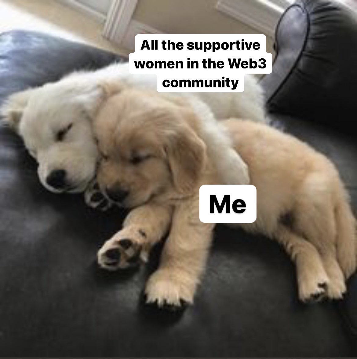 The best community 🌸