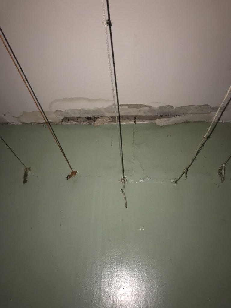 Екатерина Екатерина tweet media