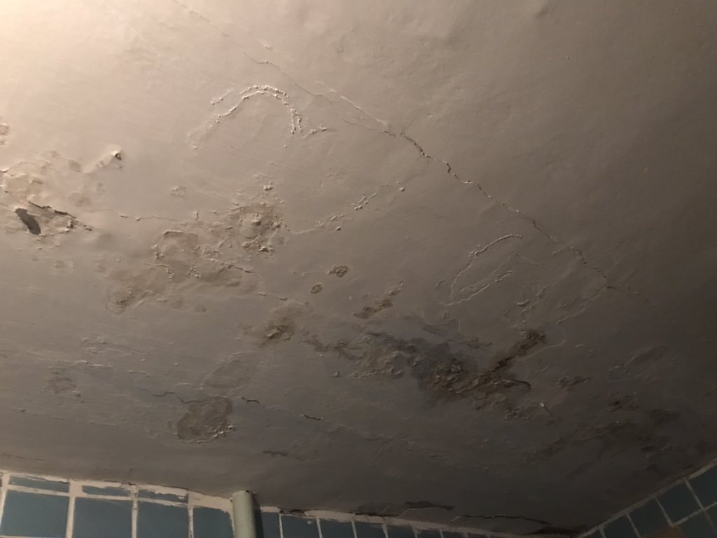 Екатерина Екатерина tweet media