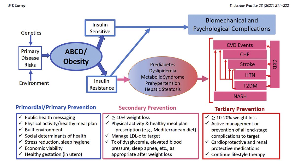 Enfermedad Crónica Basada en la Adiposidad, estupenda revisión de Garvey T. pubmed.ncbi.nlm.nih.gov/34823000/